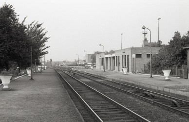 Bilzen - MZ-661-21222.jpg